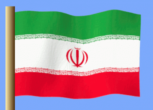 Red White And Green Flag With Red Circle GIF