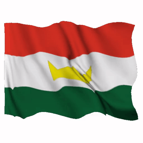 Red White and Green Flag with Yellow Crown