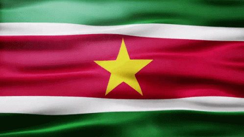 Red White And Green Flag With Yellow Star GIF
