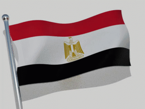 Red White Black Flag With Eagle Flying in Wind