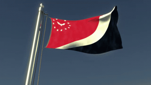 Red White Black Flag With Stars and Eagle