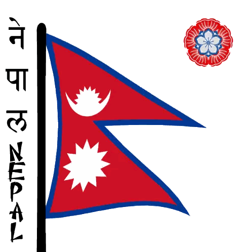 Red White Blue Flag Crescent Moon Star