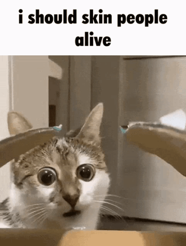 Red White Blue Flag Long Live The Republic GIF
