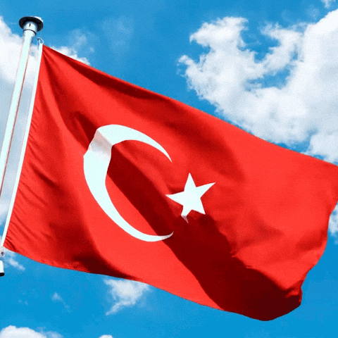 Red White Flag Crescent Moon Star GIF