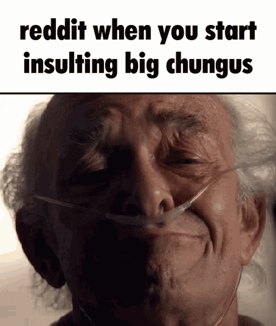Reddit Start Insulting Big Chungus GIF