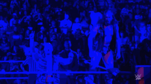 Referee and Wrestler in Ring with Crowd