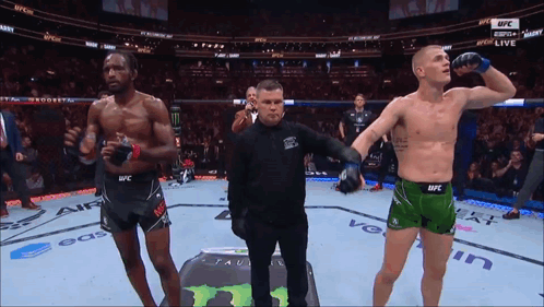 Referee Between Two Fighters UFC Match GIF