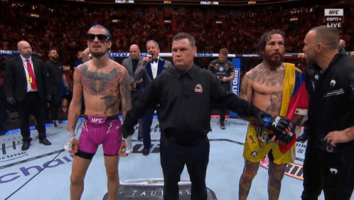 Referee Between Two UFC Fighters