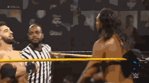 Referee Between Two Wrestlers