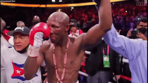 Referee Congratulating Man With Boxing Gloves and Medal