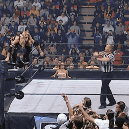 Referee In Front Of Crowd Watching Wrestler GIF
