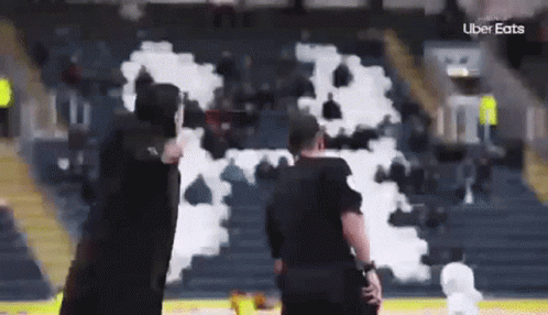 Referee in Front of Giant Smoke Bomb on Field