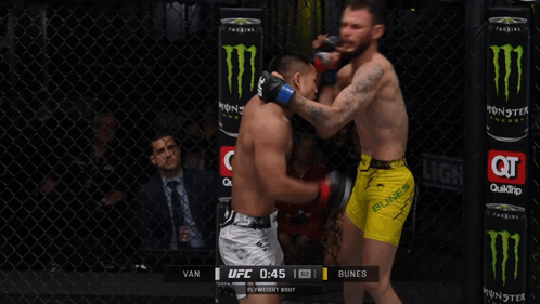 Referee in UFC Cage During Fight
