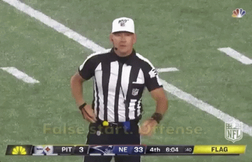 Referee on Field During Steelers vs Patriots Game