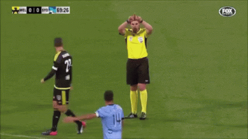 Referee on Soccer Field Fox Sports Logo