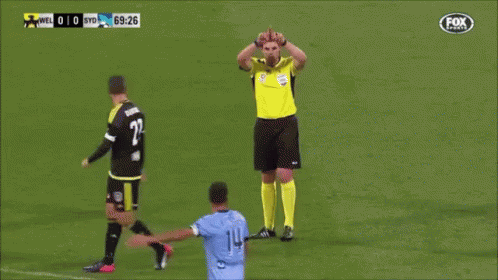 Referee on Soccer Field With Fox Sports Logo