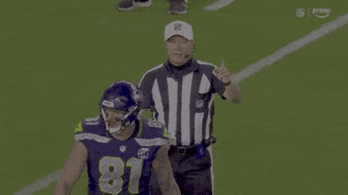 Referee Pointing at Football Player Number 17