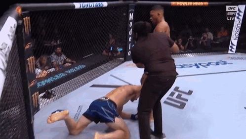 Referee Standing Next To UFC Fighter In Cage GIF