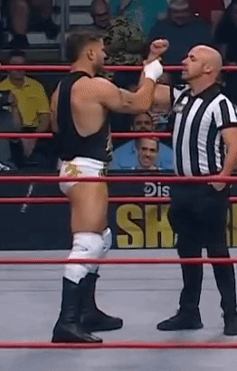Referee Standing Next to Wrestler in Ring