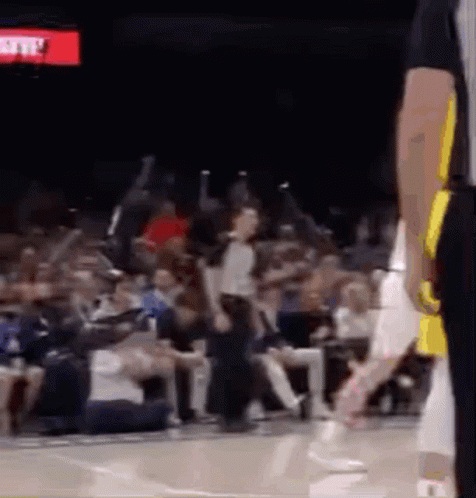 Referee Standing On Basketball Court GIF