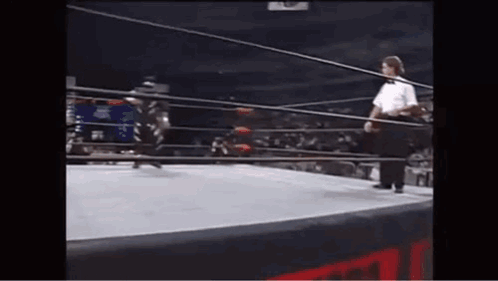 Referee Watching Wrestling Match GIF