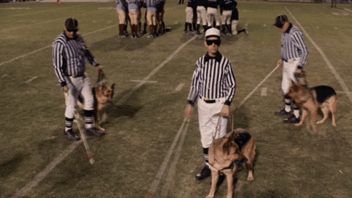 Referee With Two German Shepherds on Leashes