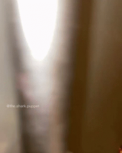 Refrigerator Full Of Sprite Cranberry Cans GIF