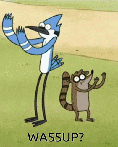 Mordecai And Rigby Regular Show GIF