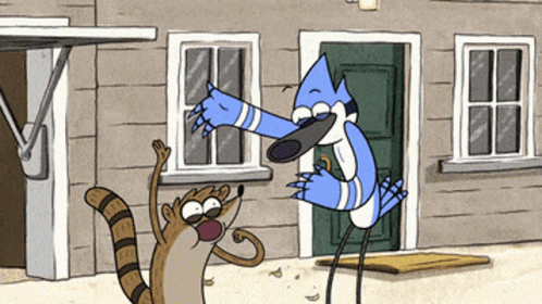 Regular Show Raccoon And Bird GIF