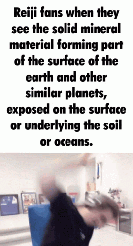 reiji fans when they see the solid mineral material forming part of the surface of the earth and other similar planets e