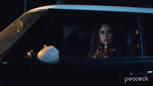 Reina Roja Spy Through Car GIF