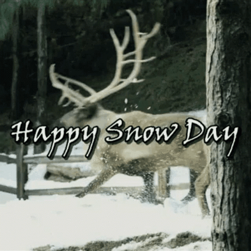 Reindeer Running Happy On Snow Day GIF