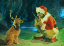 Reindeer Santa Claus Grinch Meme Cute Dog GIF
