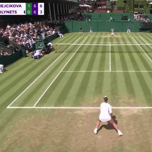 Rejcikova And Lynets Tennis Match GIF