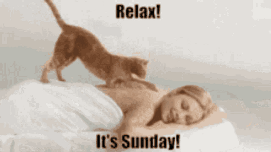 Relax Cat Massage Funny Sunday Blessings GIF 