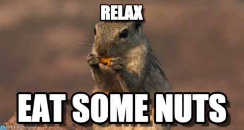 Relax Eat Some Nuts Squirrel Meme GIF