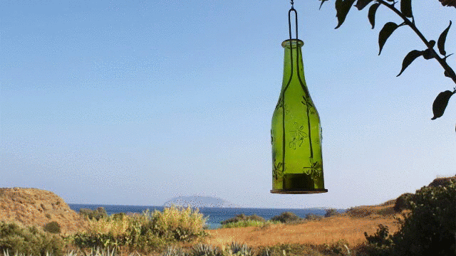 Relaxing Beach View GIF