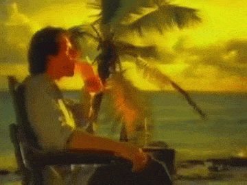 Relaxing By The Beach Palm Tree Swaying GIF
