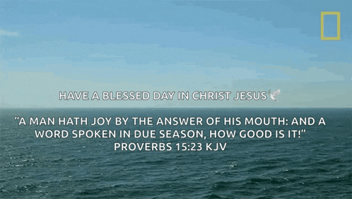 Relaxing View When Sharks Attack Gif GIF