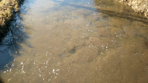 Relaxing Water Flow GIF