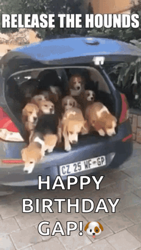 Release The Cute Dogs GIF