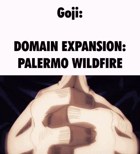 Releasing Palermo Wildfire Goji Domain Expansion GIF