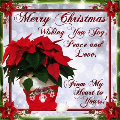 Religious Merry Christmas Red Poinsettia Flower GIF GIFDB