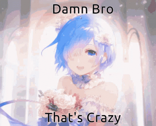 Rem Re Zero Anime That's Crazy GIF