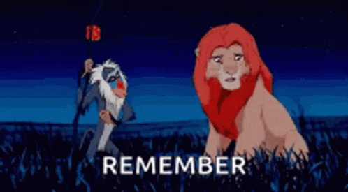 Remember Rafiki Hitting Simba GIF