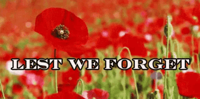 Remembrance Day Lest We Forget Gif GIF