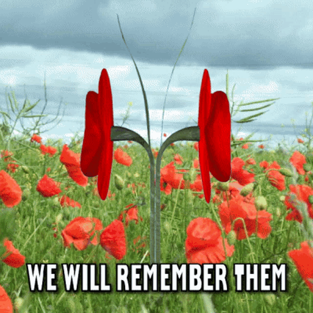 Remembrance Day Poppy Day Gif GIF