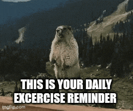 Reminder Shion Reminder Gif GIF