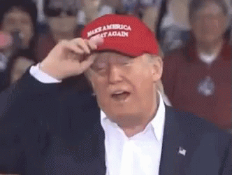 Removing Maga Cap Donald Fixing Hair GIF