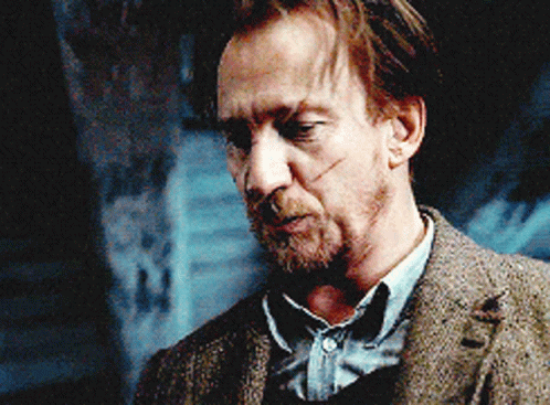 Remus Lupin Explaining Something GIF
